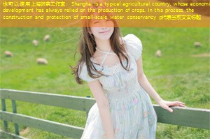 Shanghai is a typical agricultural country, whose economic development has always relied on the production of crops. In this process, the construction and protection of small-scale water conservancy p
